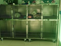 -乐宠动物医院