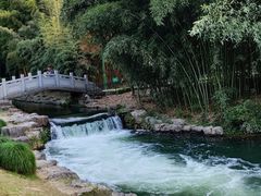 -杭州植物园