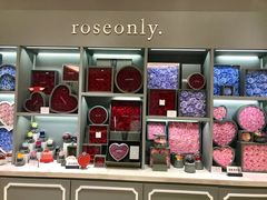 -ROSEONLY诺誓(广州K11店)