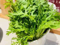 -浩爷羊蝎子火锅(望京店)