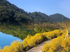 -广州市石门国家森林公园