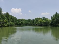 -东湖落雁景区