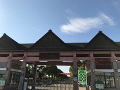 -上海都市菜园