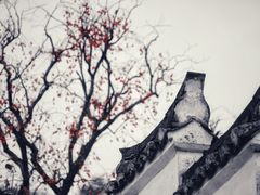 -丹山赤水风景名胜区