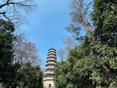 -灵谷景区