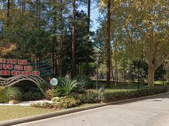 -徐家汇源景区-衡山公园