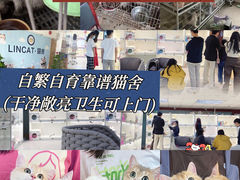 -lincat·猫舍(广州店)