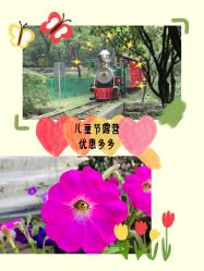 -麦粒鸟亲子游