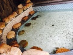 -御池园(顾村公园店)