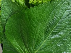 -炭之家烤肉(世茂店)