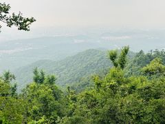 -紫金山山顶公园