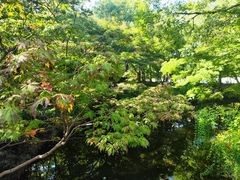 -秋霞圃
