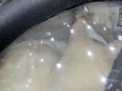 -四月宠物医院·猫专科·心脏专科·内科(转塘店)