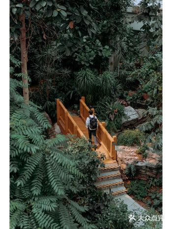 Forest walk穿越隐秘在上海的热带雨林