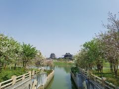 -海珠湖公园