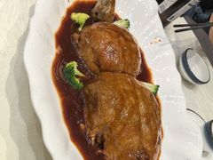 -丁老爷子苏香圆