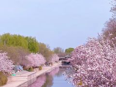 -海棠花溪(元大都城垣遗址公园)