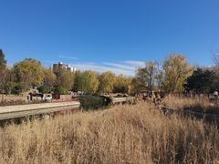 -元大都城垣遗址公园