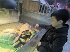 -上海大自然野生昆虫馆(东方明珠·爬宠昆虫探索中心)