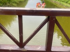 -黄海国家森林公园