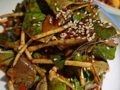 川味折耳根-雲蜀龙阁·金牌水煮鱼(方庄店)