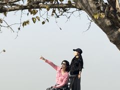 -洪泽湖古堰景区