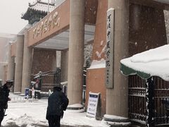 -河北中医学院(橘泉校区)