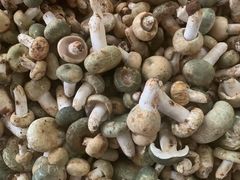 -野菌园·野生菌火锅首创第一家(关兴路总店)