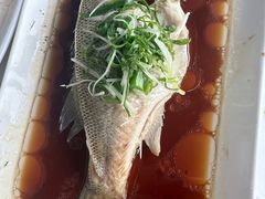 -云中小雅