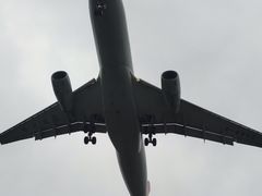 -空港花田景区