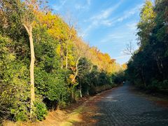 -上海海湾国家森林公园