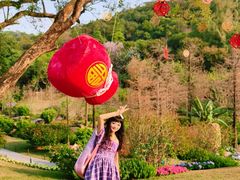 -云溪植物园