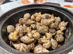 胡椒風螺-光头匠