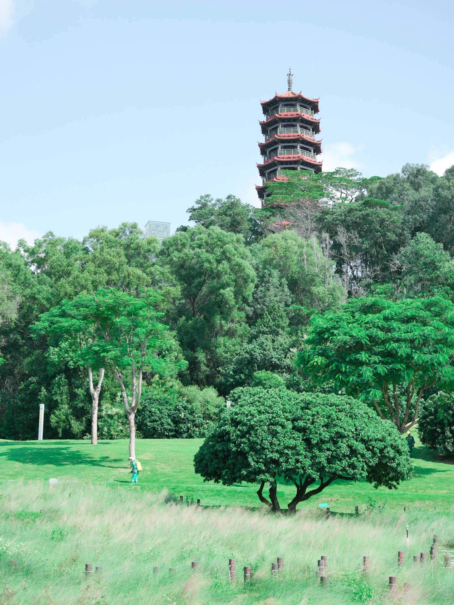 红花山公园特色景点图片