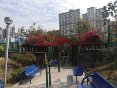 -纪念孙中山市政公园
