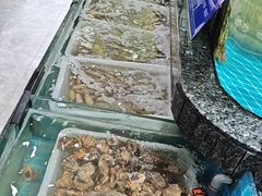 -渔码头食府(蓬莱阁店)