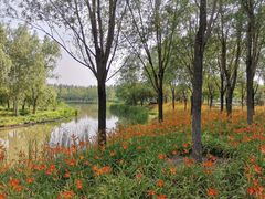-东郊湿地公园