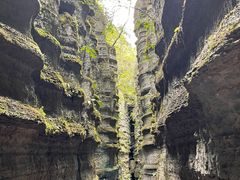 -梭布垭石林景区