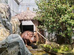 -宁波野生动物园