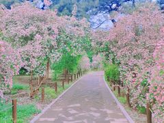 -国家植物园