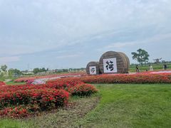 -嘉北郊野公园