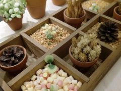 -恋暖初茶(万菱汇店)
