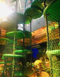 -恐龙探索乐园(磁器口店)