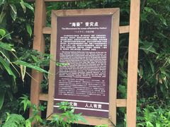 -浙北大峡谷