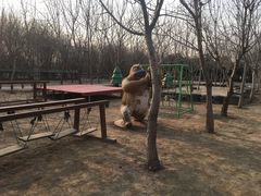 -1982农场