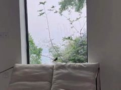 -城外有星光桥舍(南山店)