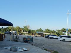 -老太太海鲜城(森林公园任家台店)