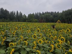 -长春公园(普阳街道)