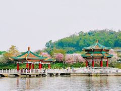 -星湖旅游景区七星岩