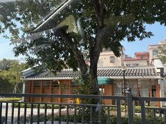 -长洲岛